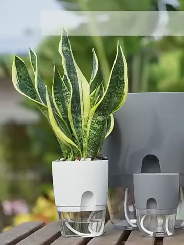 Self Watering Planter